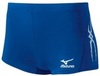 Шорты обтягивающие Женские Mizuno Premium W's Tight распродажа