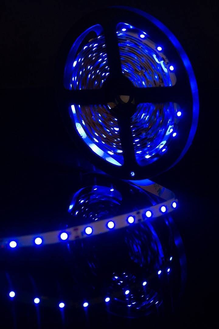 Светодиодная лента SWG 4,8W/m 60Led/m 3528SMD синий 5M SWG360-12-4.8-B-М 009469