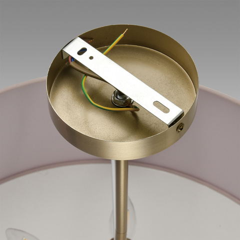 Потолочная светодиодная люстра Aployt Delfin APL.774.07.54