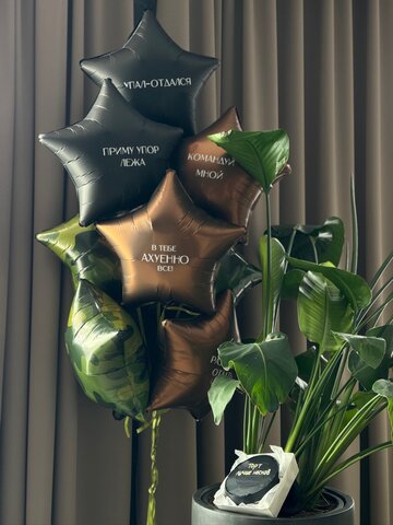 Шары к 23 февраля №49