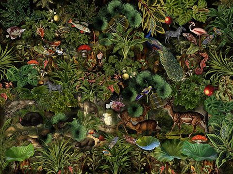 Коллекция EDEN