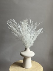 Кермек выбеленный