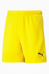 Шорты Puma teamRISE Junior