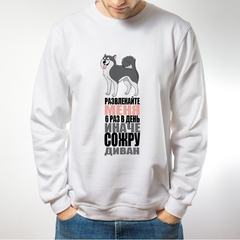 Свитшот "Развлекайте меня"