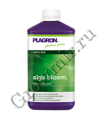 Plagron Alga Bloom 500 ml