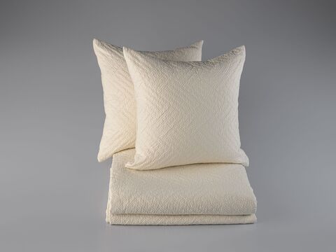 Покрывало 240х260 и 2 декоративные подушки 45х45 Claire Batiste Tilt Greg аворио