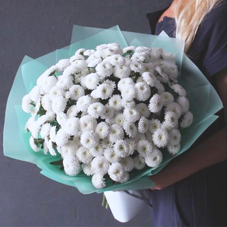 Купить шикарный вип букет 15 кустовых белых помпон хризантем Коконат в Перми