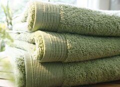 Полотенце 40х60 Blanc des Vosges Uni Lichen зеленое