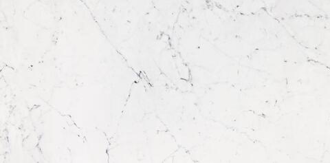 Porcelanosa Bianco Pul. 58.6x118.7