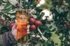 Mortimers Orchard Cider draft Mortimers Orchard Cider draft