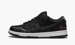 Nike Dunk Low SB "Wasted Youth"