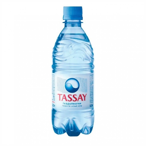 Вода питьевая TASSAY б/газа 0,5 л пл/б КАЗАХСТАН