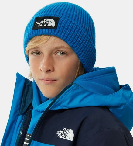 Картинка шапка The North Face Youth Logo Box Cuff Beanie Blue - 2