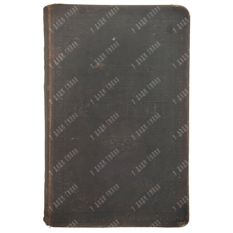 Пушкин А. С. Евгенией Онегин, 1887г.