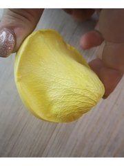 Молд пластиковый 