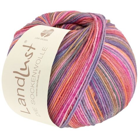 Landlust Die Sockenwolle 6-ply 922