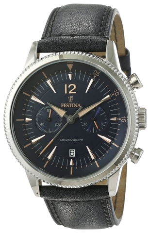 Наручные часы Festina F16870/2 фото