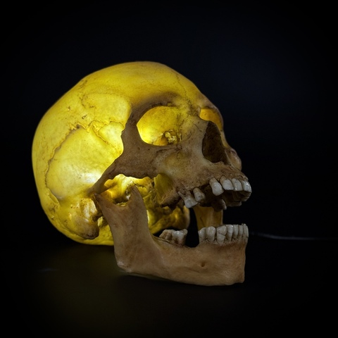 Ночник «Череп человека»