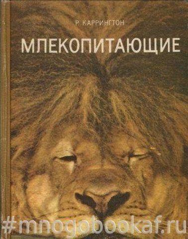 Млекопитающие