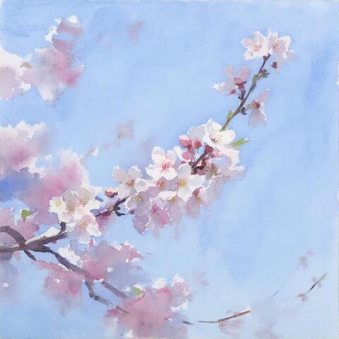 Аромамасло 