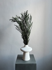 Криптомерия японская стабилизированная зеленая