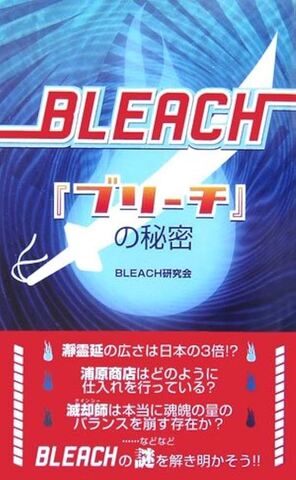 Bleach - Burīchi No Himitsu (лайт-новелла на японском языке)