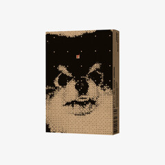 Альбом V (BTS) Layover (weverse albums ver.)