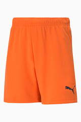 Шорты Puma teamRISE Junior