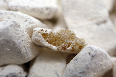 Серебристая сосна