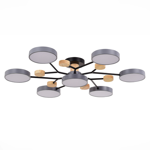 Светильник потолочный Evoluce Faema SLE6006-702-07