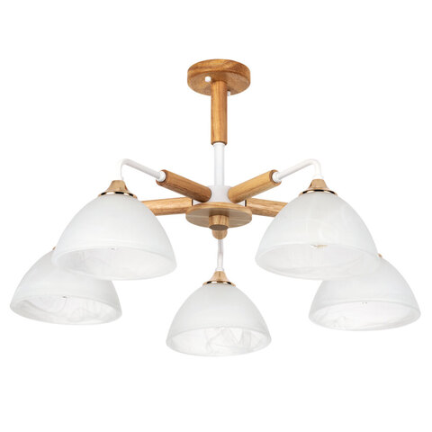 Потолочная люстра Arte Lamp MATTHEW A5032PL-5BR