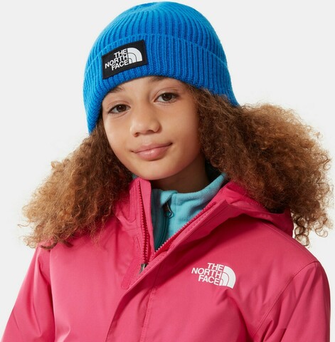 Картинка шапка The North Face Youth Logo Box Cuff Beanie Blue - 3