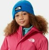 Картинка шапка The North Face Youth Logo Box Cuff Beanie Blue - 3