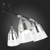 Люстра потолочная Evoluce Lirino SLE102902-05