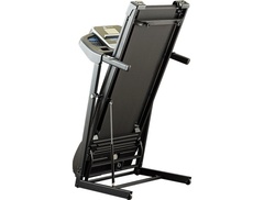 Беговая дорожка XTERRA TR180