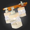 Люстра потолочная Evoluce Abiritto SLE114502-05
