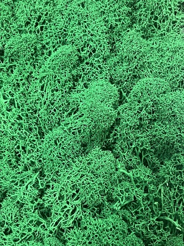 Мох стабилизированный , цвет: темно-зеленый 100г.