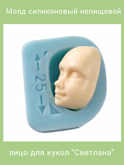 0136-S Молд силиконовый 