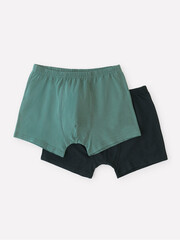 набор трусы/ уп  для мальчика  К 1912-2уп/темный малахит,индиго