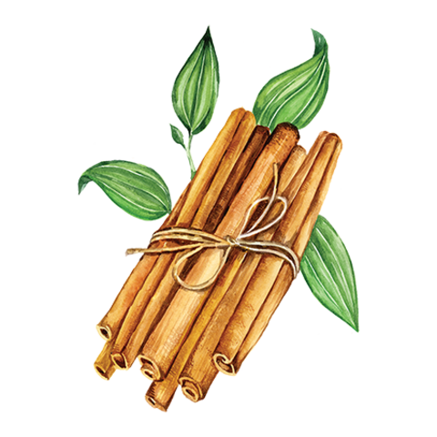 Сироп Корица  ProffSyrup