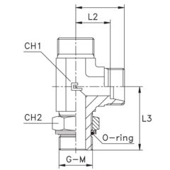 Штуцер FRLG DS06 BSP 1/4" (корпус) CAST