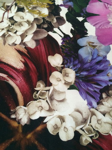 Постельное белье семейное Roberto Cavalli Floris 001