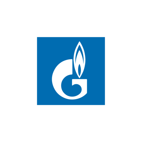 Gazpromneft Grease LTS 1