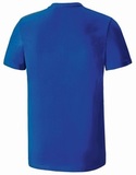 Футболка беговая Mizuno JPN Tee мужская