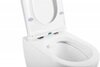 BelBagno BB2034SC Сиденье дюропластовое с быстросъёмными петлями, механизмом Soft Close