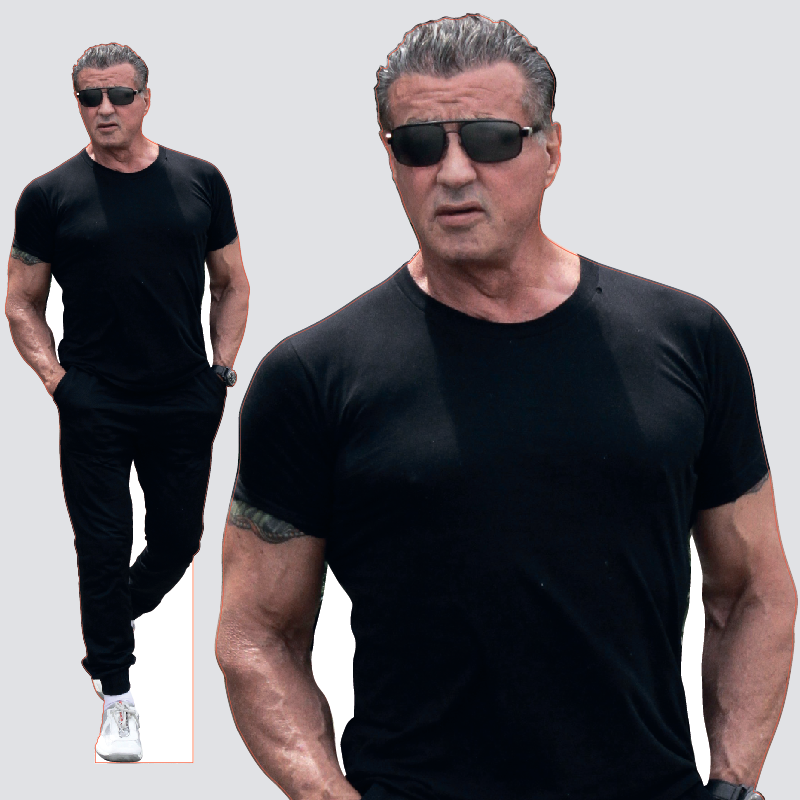   sylvester stallone