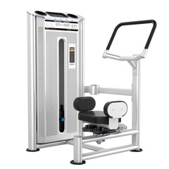 Вращение торса (Rotary Rorso) DHZ U-2018. Стек 64 кг