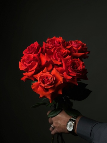 Алые розы сорт «Nina» (Эквадор)