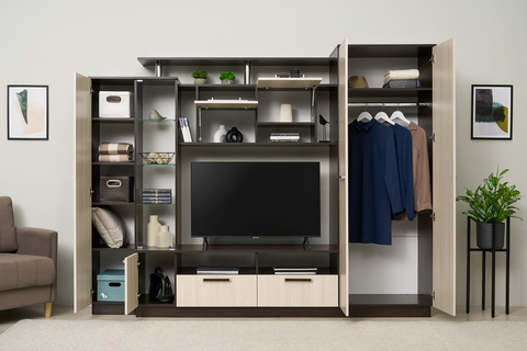 Гостиная Вега