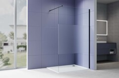 Aquatek AQ.WI.120.3BL AQ.WI.120.3BL Душевая перегородка Walk in с держателем 1200x2000 профиль черный, стекло прозрачное с матовой полосой 8мм фото